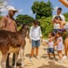 ⁦Punta Cana: Zipline, Chairlift, Buggy & Horse Ride Adventure⁩ – תמונה ⁦12⁩
