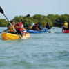 ⁦Los Haitises Kayak & Caño Hondo Pools – Private Tour From Miches⁩ – תמונה ⁦3⁩