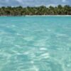 ⁦All-Inclusive Saona Island Day Trip from Punta Cana⁩ – תמונה ⁦2⁩
