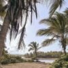 ⁦ATV And Horseback With Blue Cave :Punta Cana⁩ - الصورة ⁦7⁩