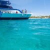 ⁦Catalina Island Tour: Boat, Beach Stay, Lunch & Free Drinks⁩ – תמונה ⁦12⁩