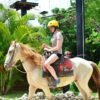 ⁦Punta Cana: Bávaro Adventure Park Horse Riding & Waterfalls⁩ – תמונה ⁦12⁩