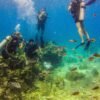 ⁦La Romana: Scuba Diving in Catalina Island⁩ – תמונה ⁦13⁩