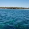 ⁦All-Inclusive Saona Island Day Trip from Punta Cana⁩ – תמונה ⁦14⁩
