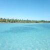 ⁦From La Romana: Saona Island for Carnival Cruises Passengers⁩ - الصورة ⁦14⁩