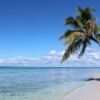 ⁦All-Inclusive Saona Island Day Trip from Punta Cana⁩ – תמונה ⁦15⁩