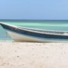 ⁦Bahía de las Aguilas: Beach Day Trip by Boat⁩ - الصورة ⁦3⁩