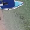 ⁦From La Romana: Saona Island for Carnival Cruises Passengers⁩ - الصورة ⁦3⁩