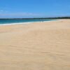 ⁦Los Haitises & Esmeralda Beach + Montana Redonda⁩ - الصورة ⁦3⁩