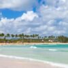 ⁦Rainforest off road adventure buggies from punta cana⁩ – תמונה ⁦3⁩
