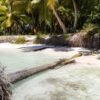 Saona Island Private: Speedboat Tour from Punta Cana - Image 2