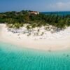 From Punta Cana: Sanctuary Whale Watching Day Trip – Bild 3