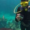 Punta Cana: Experience a Submarine Scooter with ScubaDoo - Image 4