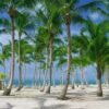 Punta Cana: Catamaran Boat to Saona Island with Buffet Lunch - Image 4
