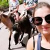 From Puerto Plata: Horseback ride along the mountain river - Image 4