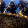 ⁦Bayahibe: Scuba Diving Initiation - Godive Bayahibe⁩ – תמונה ⁦4⁩