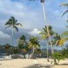 ⁦Punta Cana: Samana Cayo Levantado / Visit to the whale⁩ – תמונה ⁦4⁩