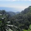 From Barahona: Larimar Mine Tour - Image 5