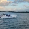 ⁦Punta Cana: Samana Cayo Levantado / Visit to the whale⁩ – תמונה ⁦5⁩