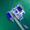 From Punta Cana: Sanctuary Whale Watching Day Trip – Bild 5