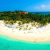 Whale Watching + Cayo Levantado Freedom – Image 9