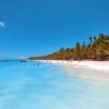 ⁦All-Inclusive Saona Island Day Trip from Punta Cana⁩ – תמונה ⁦6⁩