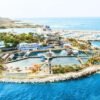⁦VIP Swim with Dolphins at Ocean World Puerto Plata⁩ – תמונה ⁦7⁩