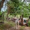 Flintstones Buggy, Cave and Adventure in Bavaro - Image 7