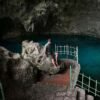 Fantastic Adventure to Hidden Waterfall and Historical Cave - Image 7