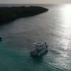 From Punta Cana: Private Catamaran Catalina Island Full-Day - Image 8