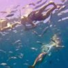 La Romana: Catalina Island Full-Day Snorkeling Tour – Bild 8