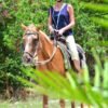 ⁦Punta Cana: Bávaro Adventure Park Horse Riding & Waterfalls⁩ – תמונה ⁦8⁩