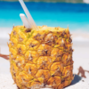 Samana: Full day Samana Amazing tour Punta Cana – Bild 9