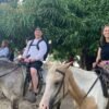 Small Group: Half Day Dominican Republic Cultural Tour – Bild 15