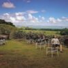 ⁦Caño Hondo Hotel Room & Free Breakfast for 1 Guest⁩ – תמונה ⁦11⁩