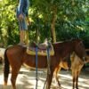Horseback Riding Adventure to Salto Baiguate - Image 7