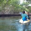 Caño Hondo : Los Haitises Sunrise or Sunset Private Kayak Excursion with Locals - Image 12