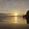 Caño Hondo : Los Haitises Sunrise or Sunset Private Kayak Excursion with Locals - Image 34