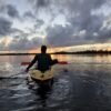 Caño Hondo : Los Haitises Sunrise or Sunset Private Kayak Excursion with Locals - Image 41