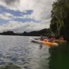 Caño Hondo : Los Haitises Sunrise or Sunset Private Kayak Excursion with Locals - Image 14