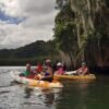 Caño Hondo : Los Haitises Sunrise or Sunset Private Kayak Excursion with Locals - Image 15
