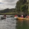 Caño Hondo : Los Haitises Sunrise or Sunset Private Kayak Excursion with Locals - Image 18