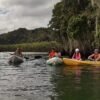 Caño Hondo : Los Haitises Sunrise or Sunset Private Kayak Excursion with Locals - Image 19