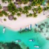 Saona Island Snorkeling, Catamaran and Lunch on the Beach – Bild 7