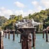Caño Hondo : Los Haitises Sunrise or Sunset Private Kayak Excursion with Locals - Image 5