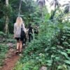 Sabana de la Mar:  Los Haitises ATV Ride & Hiking - Image 9
