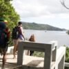 Samana: Walking City Tour With Moto Safari – Image 3
