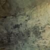 Las Terrenas: Los Haitises & Bacardi Island (Cayo Levantado) - Image 6
